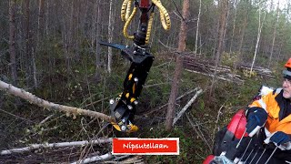 Energiarankaa mönkijällä [upl. by Neal641]