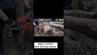 PROYAMA  62CC Gas Powered Chainsaw you deserve to be chosen [upl. by Beal]