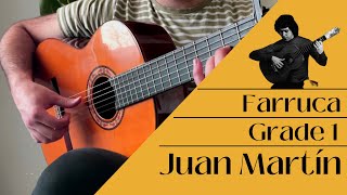 Tutorial Farruca Rhythm of the dance by Juan Martín [upl. by Sterling42]