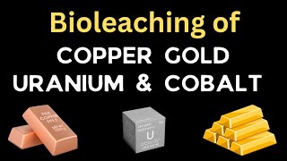 Bioleaching of Copper Gold Uranium and Cobalt  Biomining of heavy metals  Microbial bioleaching [upl. by Weingarten]