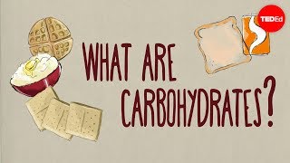 How do carbohydrates impact your health  Richard J Wood [upl. by Hsac]