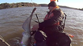 PIG ALERT Huge Catfish Landed While Kayak Fishing [upl. by Wurster]