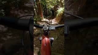 EBike Showdown Santa Cruz Heckler vs Bullit Trail Test [upl. by Kimmi]