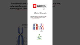 What is Chiasmata  Meiosis  Cell Cycle  Short Video [upl. by Hilaria489]