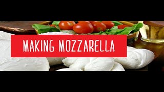 Making 30 Min Mozzarella [upl. by Anniken]