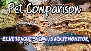 Ackie Monitor VS Blue Tongue Pet Comparison [upl. by Genovera10]