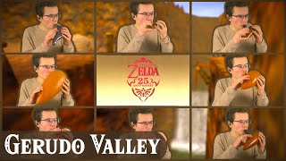 Gerudo Valley Zelda 25th Anniversary Orchestra  Ocarina Cover [upl. by Eldrid598]