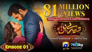 Tere Bin Episode 01  Eng Sub  Yumna Zaidi  Wahaj Ali  28th December 2022  HAR PAL GEO [upl. by Eittam]