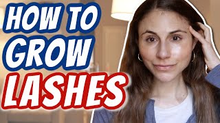 How to GROW LASHES Dr Dray [upl. by Scrivings411]