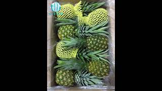 Fresh Pineapple From Vietnam To The World Market [upl. by Aridaj]