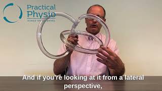 Anatomy and Orientation of the Semicircular Canals [upl. by Eerazed]