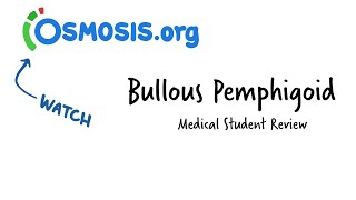 Bullous Pemphigoid Osmosis Study Video [upl. by Freeborn]