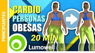 Cardio PARA PERSONAS OBESAS Y PRINCIPIANTES Para Quemar 250 Calorías  Ejercicios Para Sobrepeso [upl. by Ellekcim]