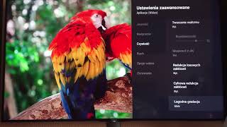 Ustawienia obrazu sony bravia po profesionalnej kalibracji z filmu nr 1 [upl. by Nalahs]