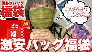 【福袋】初購入の激安バッグ福袋（チャレンジする価値あり！）楽天市場 [upl. by Eissolf]