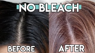 DIY At Home HAIR DYE I Used a BOX DYE to go from DARK To LIGHT  NO BLEACH METHOD [upl. by Franci]