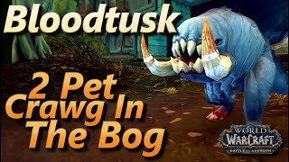 Bloodtusk WoW 2 Pet Leveling Strategy Pet Battle World Quest Crawg In The Bog BFA [upl. by Svensen]