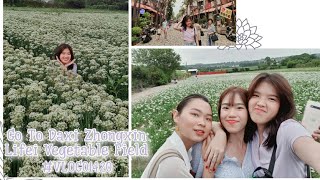 Go To ZhongXinLi Vegetable Field in Taiwan VLOG01420 [upl. by Noelani]