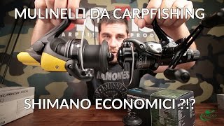 MULINELLI da CARPFISHING SHIMANO a un PREZZO ragionevole [upl. by Ehling]