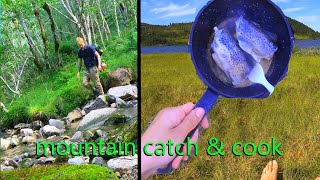 Camp Forage Catch amp Cook  High Mountains  Norway [upl. by Glover]