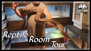 2024 Reptile Room Tour [upl. by Tnirb]