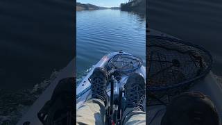 Bixpy K1 Powered Hobie Lynx fishing kayakbassfishing fishingequipment bixpymotor fishinggear [upl. by Aikaz941]