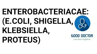 BACTERIOLOGY Enterobacteriacae  Part 1ecoli Shigella Klebsiella Proteus [upl. by Odnanref]