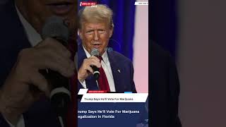 Trump Says He’ll Vote For Marijuana Legalization In Florida  Marijuana Legalization in Florida [upl. by Drona456]