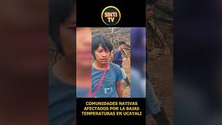 Comunidades Nativas sufren las consecuencias de las bajas temperaturas en Ucayali shortvideo [upl. by Yeca]