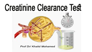 Creatinine Clearance Test تحليل استخلاص الكرياتينين [upl. by Ennoid656]