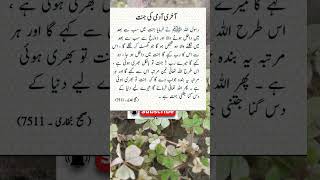 Hazrat Muhammad  SAW Aap Ny Farmaya ahdees youtube urduahdees tilawatquran367 quotes love [upl. by Peter]