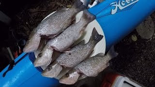 Key West Bridge Fishing  Small Snapper BBQ [upl. by Ardnasirk]