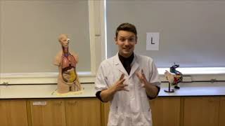 Ashington Academy Virtual open evening  Welcome to science [upl. by Eseerahs]