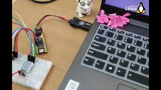 Interfacing 7Segment display with STM32F4 BlackPill  bare metal programming   Ubuntu [upl. by Nosiaj]