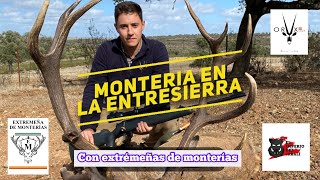 Montería en Extremadura  La Entresierra  Con Extremaña de Monterías [upl. by Revart]