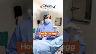 How is the egg retrieval done  Dr Rashmi Sharma  IVF Expert [upl. by Arand]