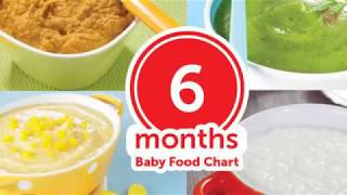 6 Months Baby Food Chart [upl. by Helmut594]