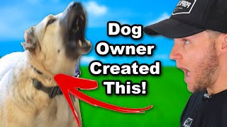 How Youve Made Your Dog Leash Reactive Dog Training Video [upl. by Ayanad]