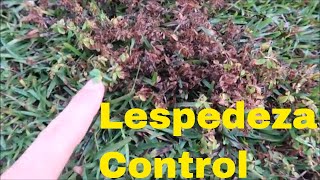 Weed Control for Lespedeza in the Lawn [upl. by Letnuahc]