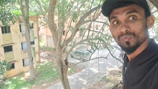 Visiting  Demontey Colony Ghost House ‼️Semmaya bayadhuttom 😱 [upl. by Rabkin657]