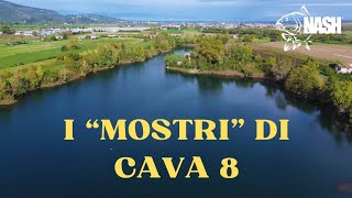 I quotMOSTRIquot DI CAVA 8  Carpfishing tra gli erbai [upl. by Skolnik]