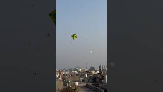 Bathinda Basant Panchami 🪁 Kite Fighting 🪁Patangwala03 bathinda [upl. by Allegra]