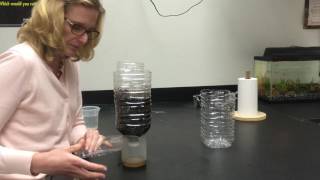 Building EcoColumns Part 4 Planting Seeds [upl. by Ahsenrac149]