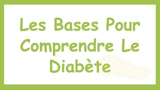 Le Métabolisme GlucidoLipidique  Les Bases Pour Comprendre le Diabète [upl. by Asiar]