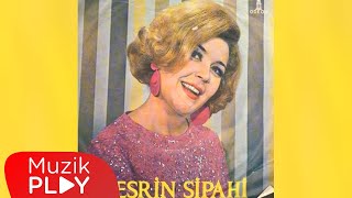 Gizli Aşk  Nesrin Sipahi Official Audio [upl. by Avner]