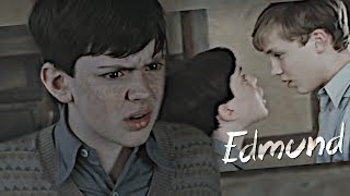 Narnia  Sassy Edmund [upl. by Egdamlat]