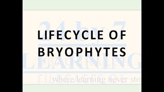 Lifecycle of Bryophytes  Plant Kingdom  Grade 11  Biology  24by7learningcom [upl. by Ekal]