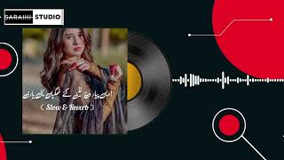 Yaari Saraiki Song New Music Slowed and Reverb Songs 2024 [upl. by Ornstead]