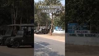 Kawal Tiger Reserve in Jannaram nature wildlife travel shorts [upl. by Enyalaj]