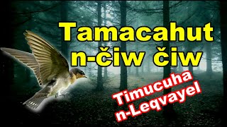 Tamacahut n čiw čiw [upl. by Ykcaj]